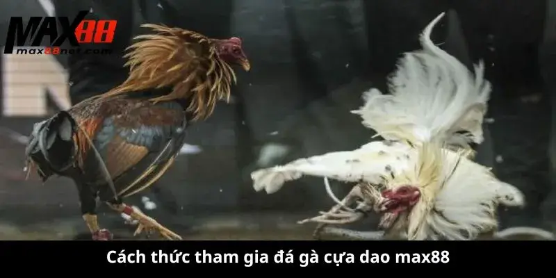 Cách thức tham gia đá gà cựa dao max88