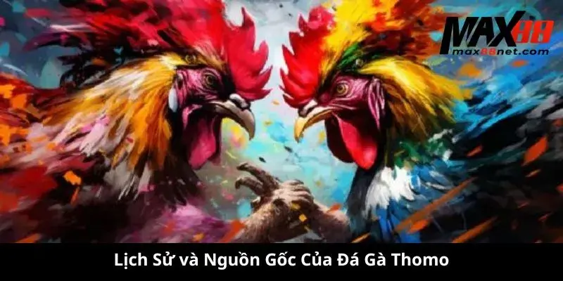 Lịch Sử và Nguồn Gốc Của Đá Gà Thomo