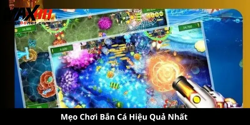 Mẹo Chơi Bắn Cá Hiệu Quả Nhất